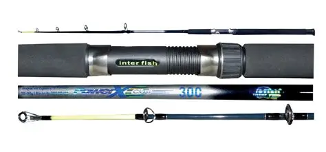 Caña Interfish Topsurf 4,20Mts 2 tramos 100-250g